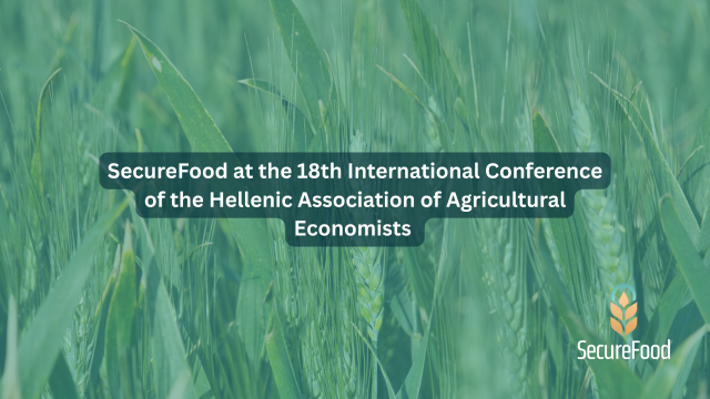 Untitled design (41)